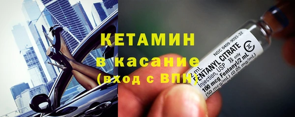прущие грибы Богородицк