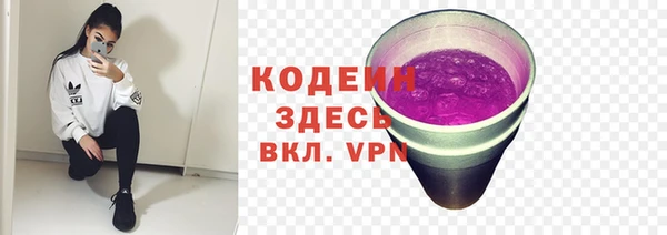 прущие грибы Богородицк
