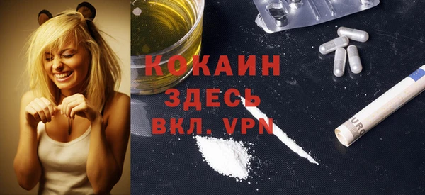 прущие грибы Богородицк