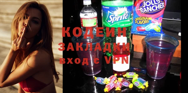прущие грибы Богородицк