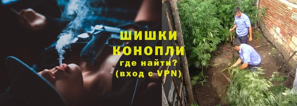 прущие грибы Богородицк
