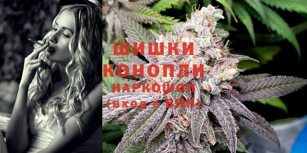 дживик Богданович