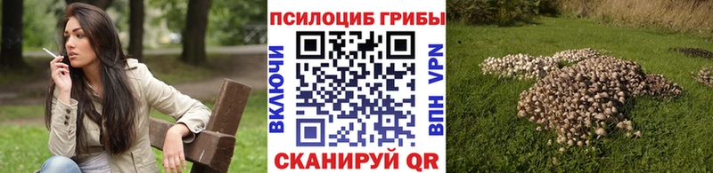 где можно купить   Мирный  маркетплейс какой сайт  Галлюциногенные грибы Psilocybine cubensis 